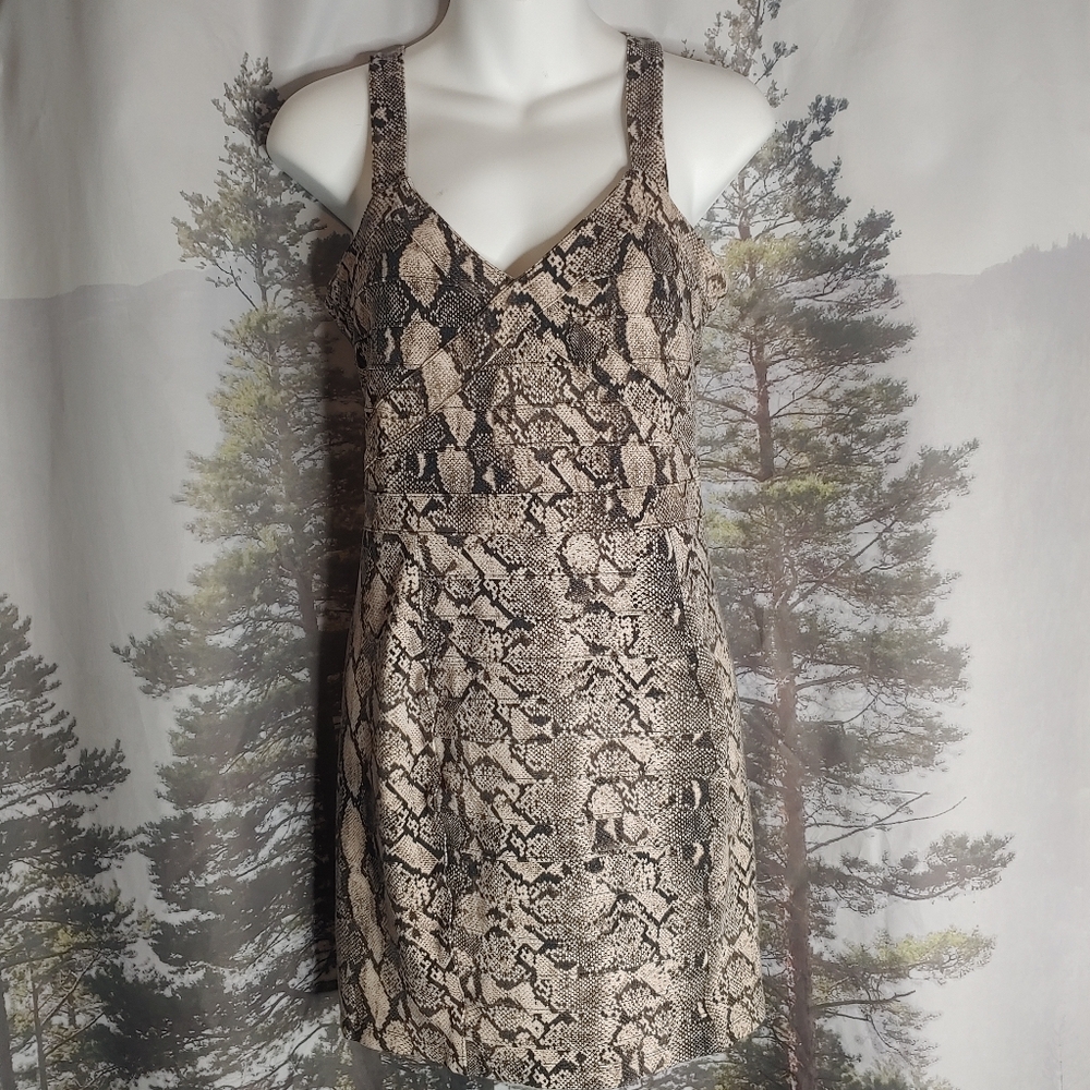 H & M Snakeprint Dress